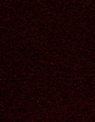 заказать Шлифовальная лента FEIN Абразивы A, зерно 420, 50x1000 мм, 10 шт 